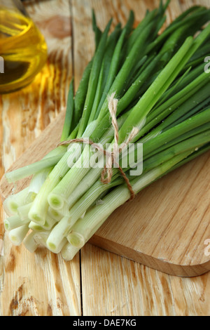 chives tied with a rope, fresh food Stock Photo