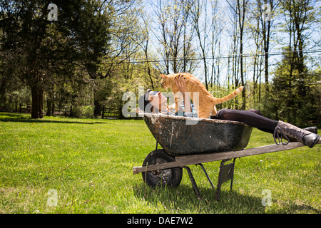 Woman in wheelbarrow holding ginger cat Stock Photo