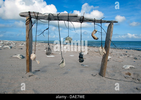 mobile at the sand beach of driftwood, stones, mussel and snail shells and the pincers of a crab, Germany Stock Photo