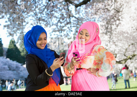 Two female friends in park checking mobile phones Stock Photo