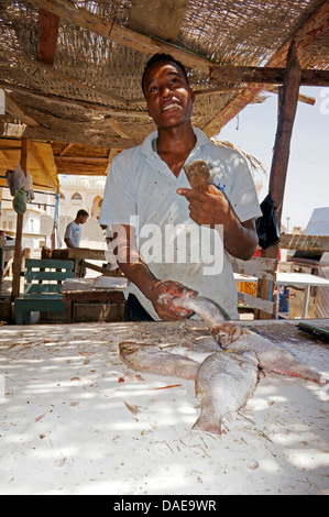 fish monger at the fish market, Egypt, Hurghada Stock Photo