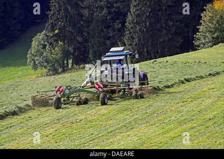 farmer turning hay on mountain meadow, Germany, Bavaria, Eisenberg Stock Photo