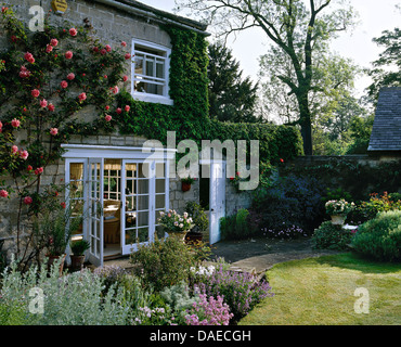 Pink climbing roses on old stone house with French windows open onto terrace and lawn with well planted border Stock Photo