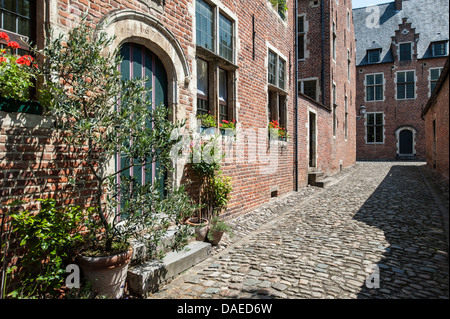 Alley in the Grand Béguinage / Great beguinage / Groot begijnhof at Leuven / Louvain, Belgium Stock Photo