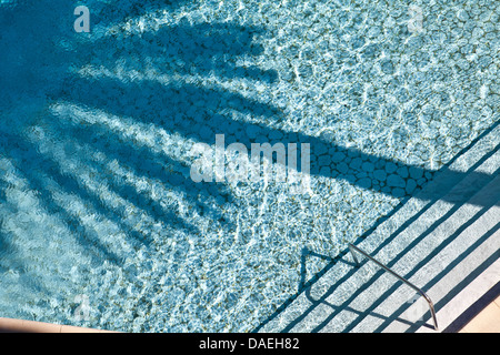 Swimming pool with palm tree shadow in pool. Stock Photo