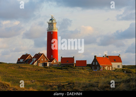 Eierland lighthouse on northernmost tip of the Dutch island of Texel in morning light, Netherlands, Texel Stock Photo