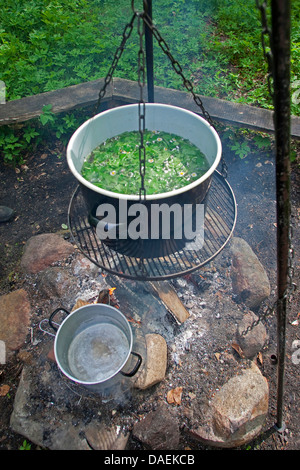 wild herb sopu is cooked over an open fire, Germany Stock Photo