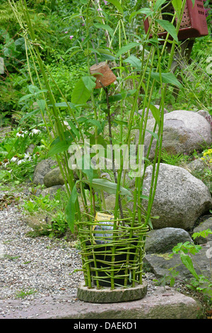 child has made a wickerbasket in the garden, Germany Stock Photo