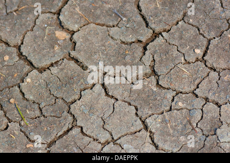 cracks in the mud Stock Photo