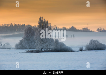 snow landscape with ground fog in morning light, Germany, Bavaria, Isental