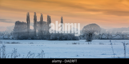 snow landscape with ground fog in morning light, Germany, Bavaria, Isental