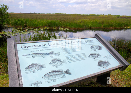 Miami Florida,Florida City,Everglades National Park,Main Park Road,Royal Palm Visitors Center,centre,Anhinga Trail,sign,information,native exotic fish Stock Photo