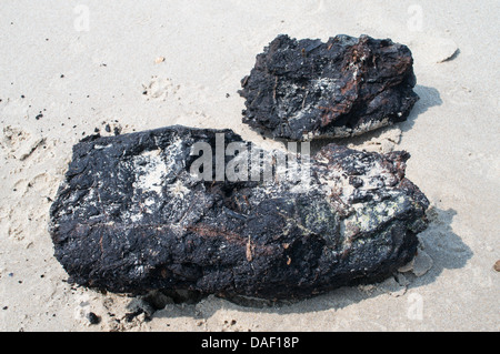 A sample of material from an outcrop of what appears to be lignite or brown coal along the beach at Wissant in northern France Stock Photo