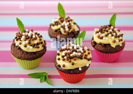 Double chocolate cupcakes. Recipe available. Stock Photo