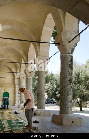 Türkei, Provinz Icel (Mersin), Mut, Laal Pascha Moschee, Stock Photo