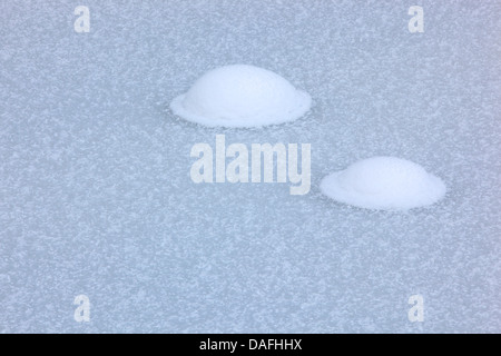 frozen air bubbles on ice sheet, Switzerland Stock Photo