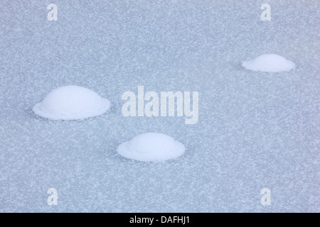 frozen air bubbles on ice sheet, Switzerland Stock Photo