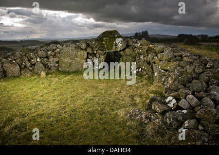 Creggandevesky Neolithic Court Tomb in County Tyrone, Northern Ireland, UK Stock Photo