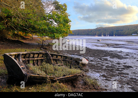 an old wooden boat rotting on a mud bank of River Cleddau near Llangwm, United Kingdom, Wales, Pembrokeshire Stock Photo