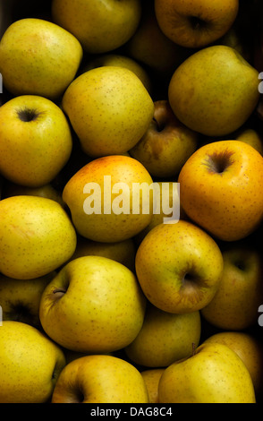 BOX OF FRENCH APPLES, GOLDEN DELICIOUS Stock Photo