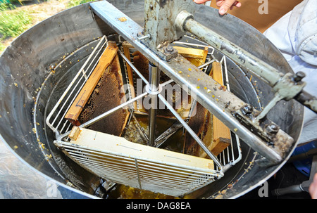 manufacture of honey processing equipment Stock Photo