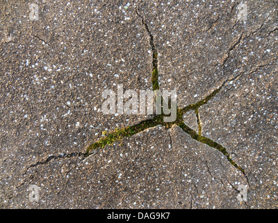 cracks in asphalt, Germany, North Rhine-Westphalia Stock Photo