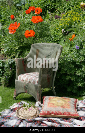 Cushion on plaid rug beside vintage wicker chair on lawn in front of border with red poppies Stock Photo