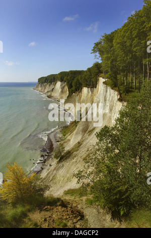German Cliffs Chalk coast, Jasmund National Park, Rügen Island, Mecklenburg-Western ...