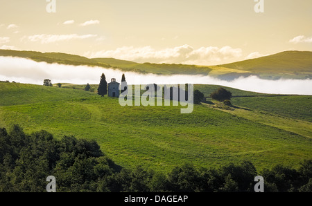 Tuscany landscape in morning mist, Val d'Orcia, Italy Stock Photo