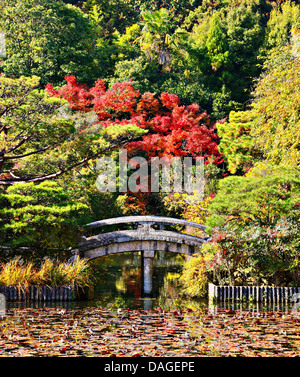 Scenic autumn view of the the Colorful Pond at Jiu Zhai Gou, China ...