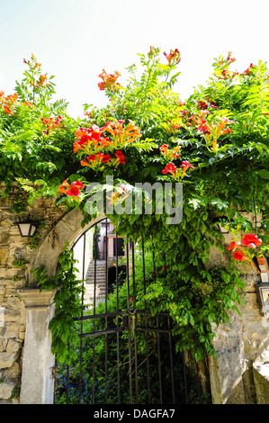 Istria, Croatia, Obertal, Portole, Oprtalj Stock Photo