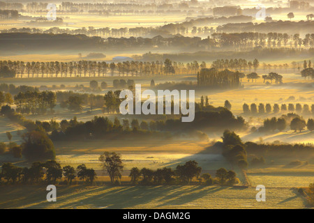 aerial view to field landscape Brugs Ommeland in morning mist, Belgium Stock Photo