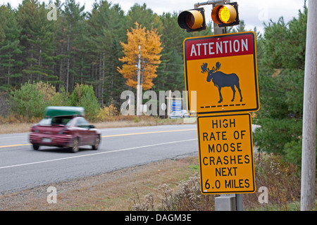 moose, elk (Alces alces), warning sign because of crossing elks at the ME-15 , Greenville, USA, Maine, Moosehead lake, Greenville Stock Photo