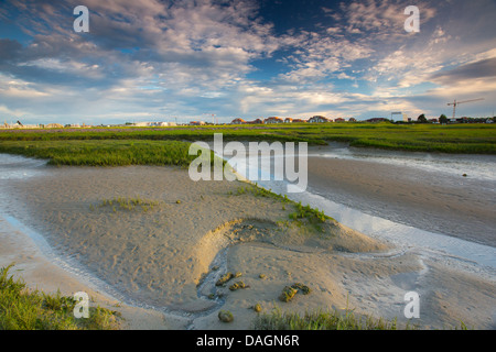 Mudflats in the IJzermonding nature reserve, Belgium, Nieuwpoort Stock Photo