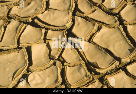 fissure structure in dry soil ground in the Kalahari, South Africa Stock Photo