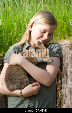 red fox (Vulpes vulpes), girl with an orphaned juvenile on the arm being upbrought by hand, Germany Stock Photo