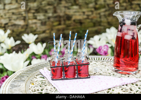 Summer drink of cold red fruit flavour juice served outside on an ornate table - shallow depth of field Stock Photo