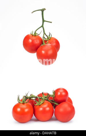 Tomato Stock Photo