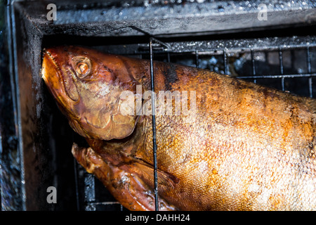homemade golden smoked salmon on grid in black camp smoking shed Stock Photo