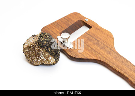 Black Sommer truffle / Tuber aestivum Stock Photo