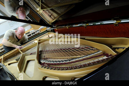 The picture shows an employee of the German pianoforte manufacturer Grotrian-Steinweg working on a grand-piano in Braunschweig, Germany on 24 March 2011. The family enterprise, which is now in the 6th generation, has not been affected as badly by the crisis year 2009. The sales in 2010 rose slightly and great hopes for future sales are put on the Chinese market by the industry. Pho Stock Photo