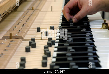 The picture shows an employee of the German pianoforte manufacturer Grotrian-Steinweg working on a grand-piano in Braunschweig, Germany on 24 March 2011. The family enterprise, which is now in the 6th generation, has not been affected as badly by the crisis year 2009. The sales in 2010 rose slightly and great hopes for future sales are put on the Chinese market by the industry. Pho Stock Photo