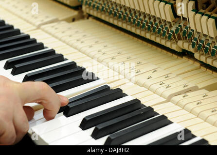 The picture shows an employee of the German pianoforte manufacturer Grotrian-Steinweg checking a piano in Braunschweig, Germany on 24 March 2011. The family enterprise, which is now in the 6th generation, has not been affected as badly by the crisis year 2009. The sales in 2010 rose slightly and great hopes for future sales are put on the Chinese market by the industry. Photo: Caro Stock Photo