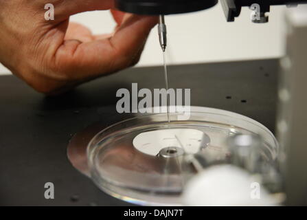 A scientists performs a nuclear transfer at the microscope at the Max Planck institute for molecular biomedicine in Muenster, Germany, 25 June 2013. Numerous scientists work in stem cell research at the institute at the university of Muenster. Photo: Max-Planck-Institut für molekulare Biomedizin Stock Photo