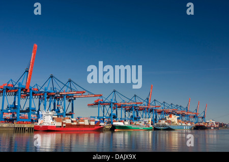 Container ships and feeder ships at the Container Terminal Altenwerder Stock Photo