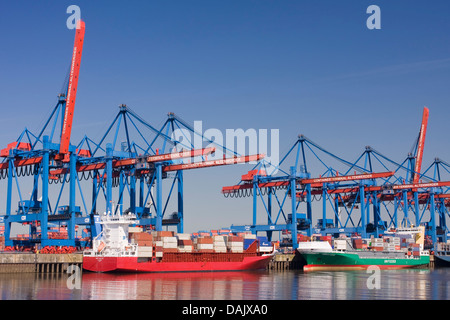 Container ships and feeder ships at the Container Terminal Altenwerder Stock Photo