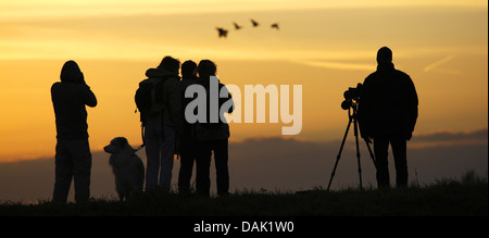 silhouettes of bird watchers, Belgium Stock Photo