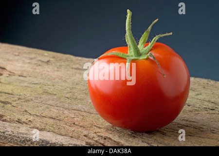 garden tomato (Solanum lycopersicum, Lycopersicon esculentum), lying on a wooden board Stock Photo