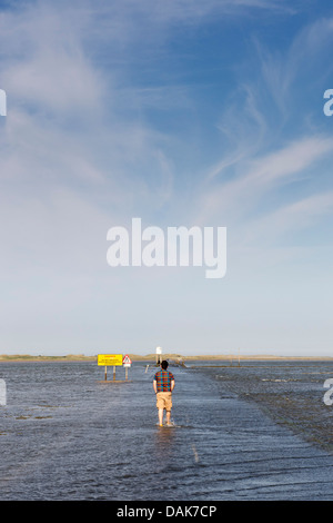Japanese Tourist walking in the sea water covering the tidal Causeway leading onto Holy Island, Lindisfarne, England Stock Photo