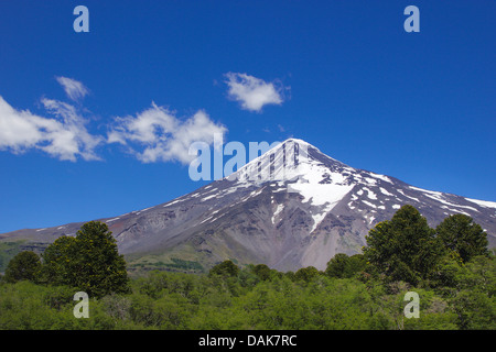 view from north onto volcano Lanin at the frontier Chile/Argentinia, Chile, Patagonia Stock Photo